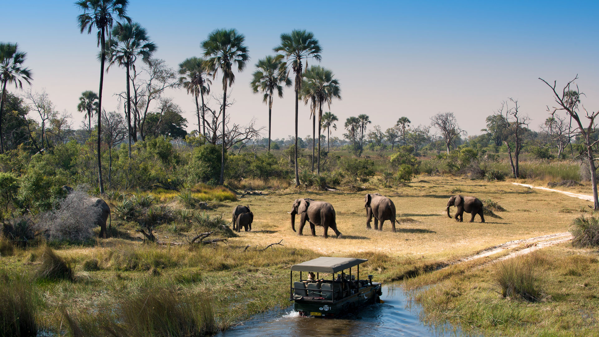 Safari em Botswana (foto andBeyond)