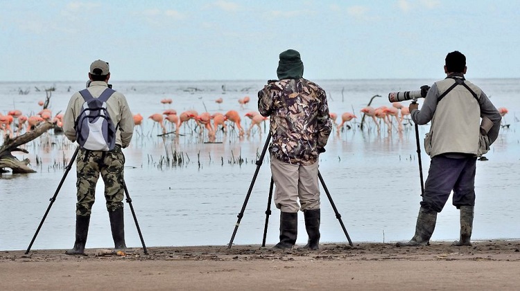 Avistamento aves, Anzenuza (foto Vía País)
