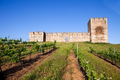 Castillo de Valongo (Torres Carillo y fortalezas)