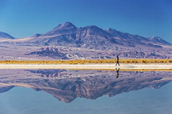 Chile-laguna cejar (la tercera)