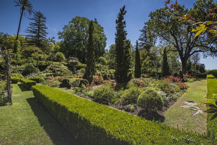 Jardim Quinta do Palheiro - crédito Francisco Correia (2)
