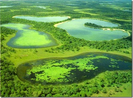 Pantanal de Mato Grosso, Brasil (foto Conciencia Eco)