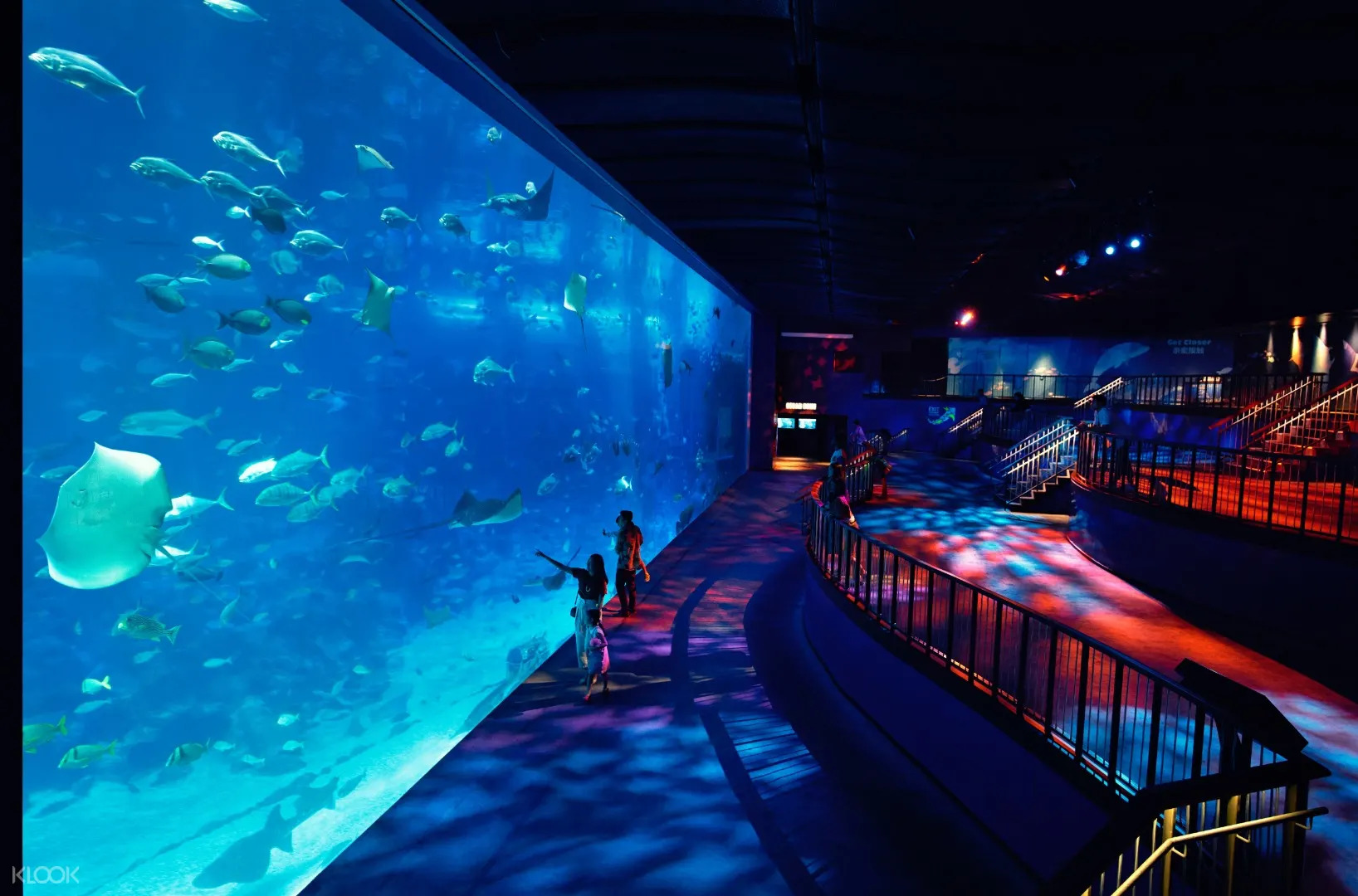 SEA-Aquarium-de-Singapur