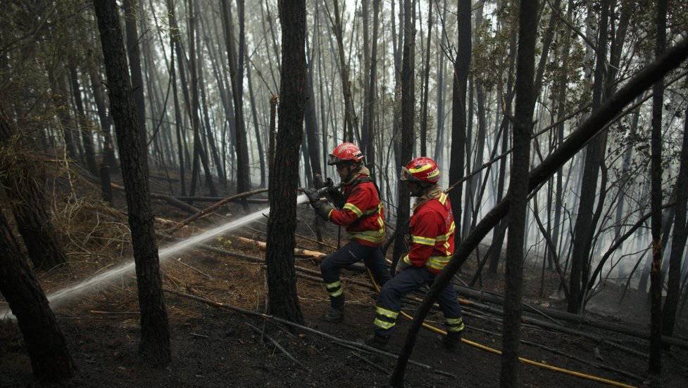 70% do incêndio dominado em Pedrógão Grande