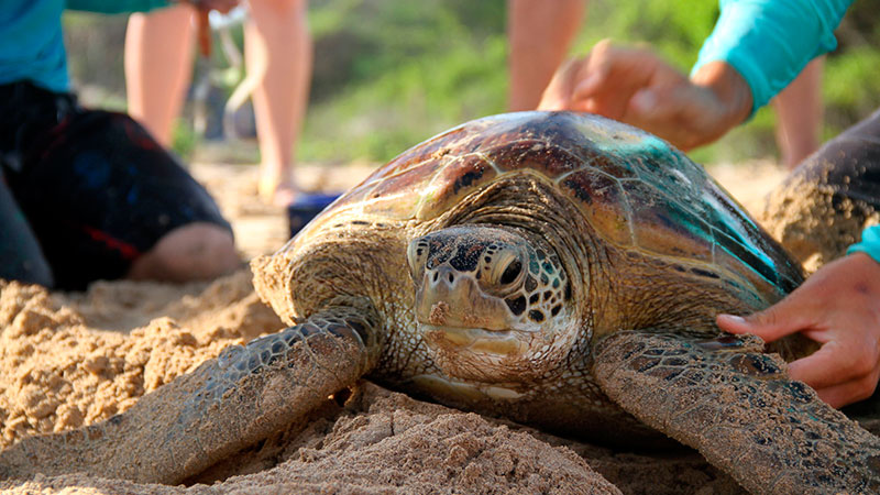 Galápagos, um paraíso com direito de admissão