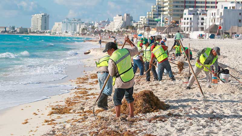 Retiram mais que duas toneladas de sargaço das praias de Cancun