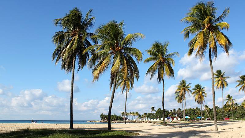Exortam impelir um turismo criativo no Caribe