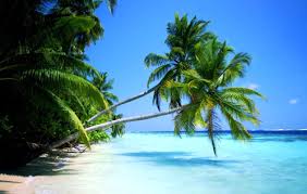 Turismo no Caribe cresceu seis por cento neste ano