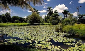 Cuba promove novo lugar de patrimônio mundial natural