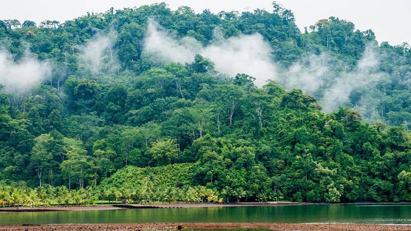 Natureza e praia convergem em Parque Nacional de Costa Rica