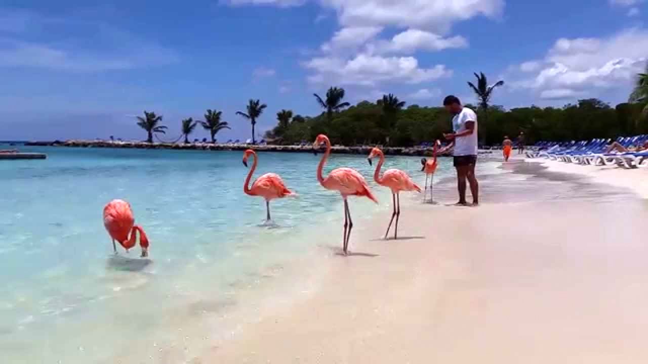 Curiosidades da Ilha Feliz: Aruba