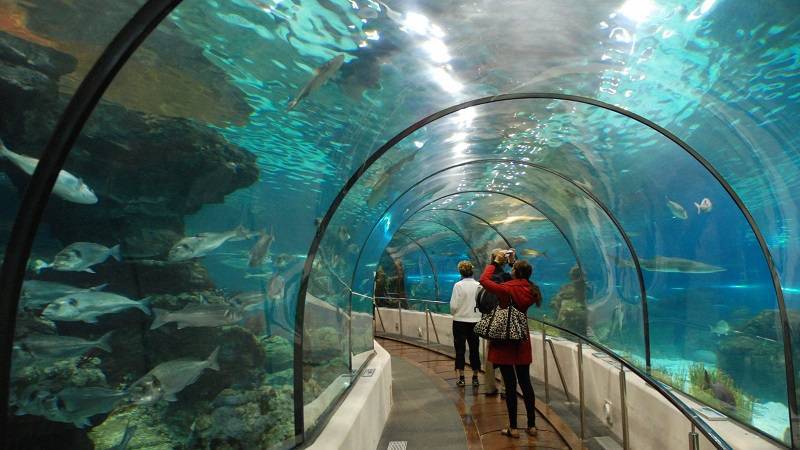 Aqua Rio recebeu 180 mil em pouco mais de um mês