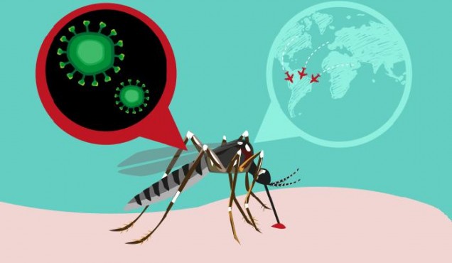 Panamá reúne esforços para combater o zika